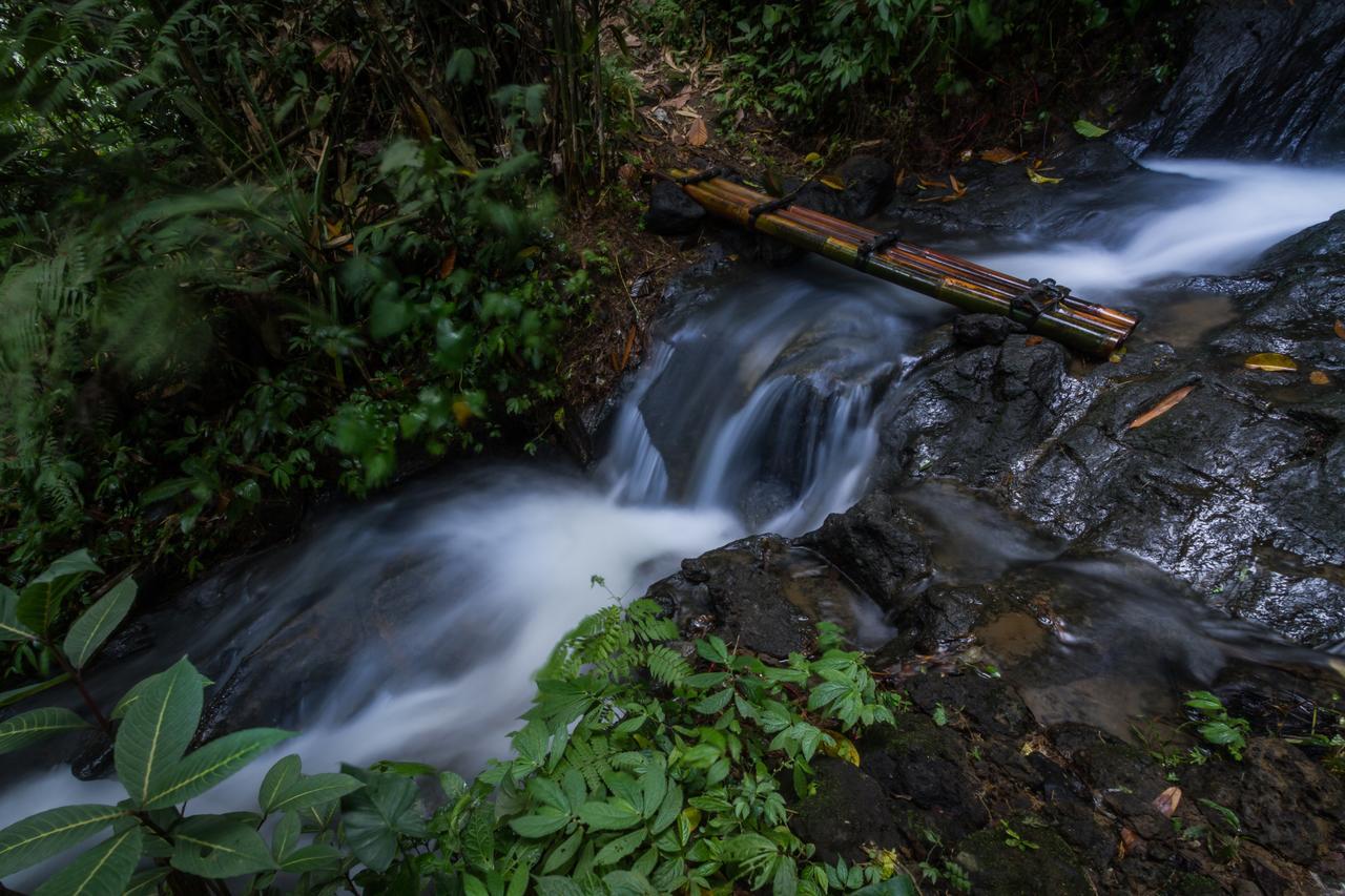 Bali Eco Adventure And Retreat Center Hotel Tegallalang  Ngoại thất bức ảnh