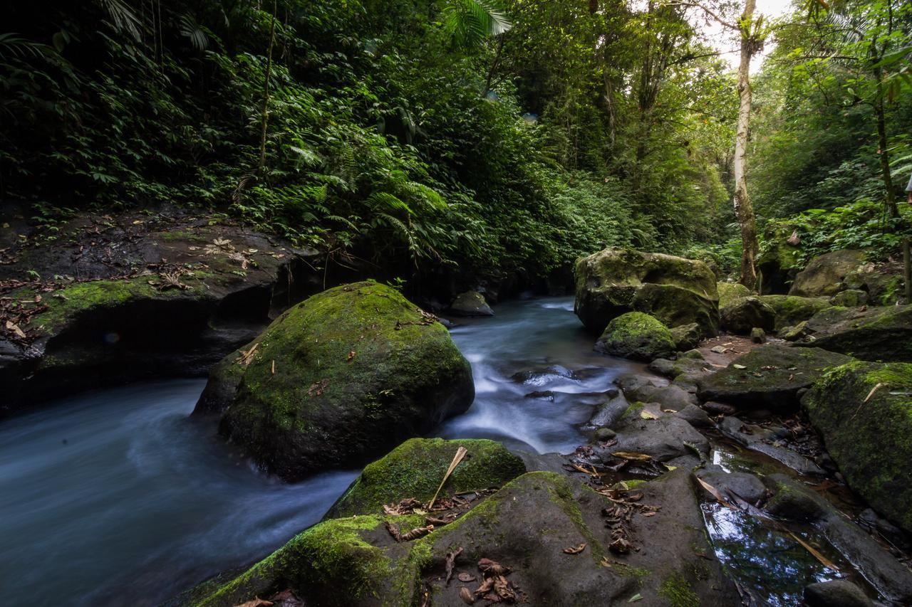 Bali Eco Adventure And Retreat Center Hotel Tegallalang  Ngoại thất bức ảnh