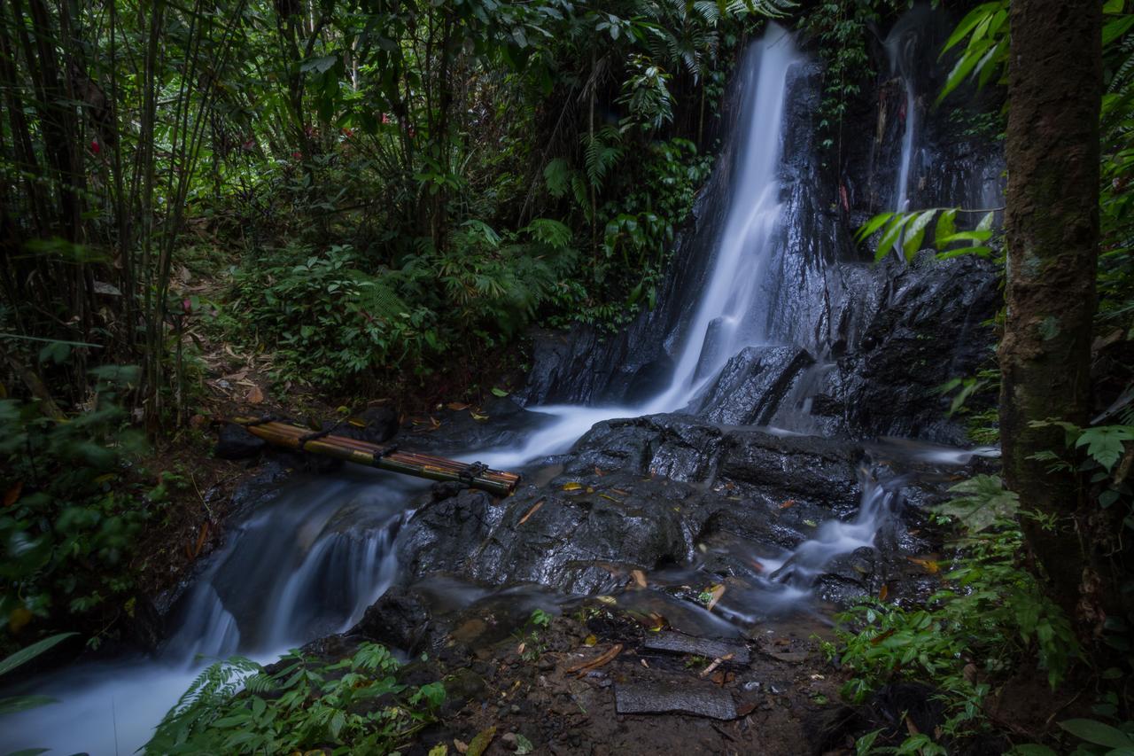 Bali Eco Adventure And Retreat Center Hotel Tegallalang  Ngoại thất bức ảnh